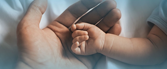 parent holding newborn childs hand