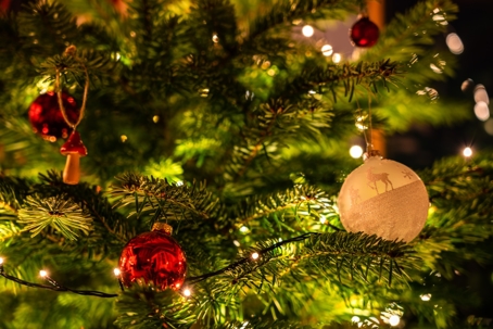 close up of a christmas tree